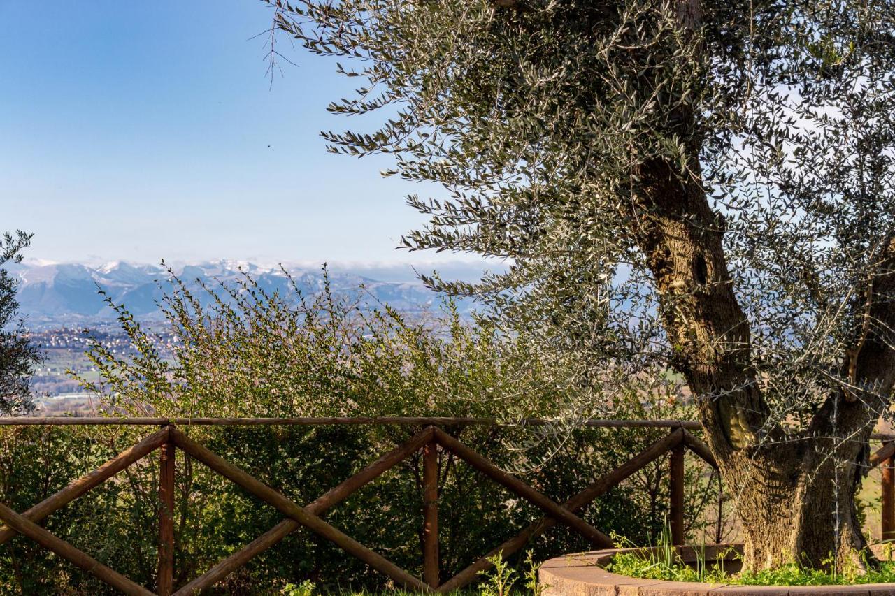 La Merlana Affittacamere Morrovalle Bagian luar foto